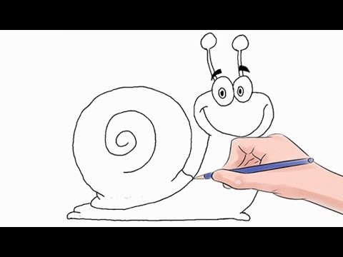 How to Draw a Snail Easy Step by Step - YouTube