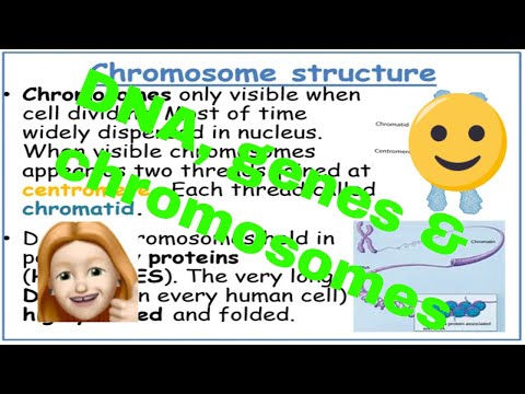 DNA, genes and
