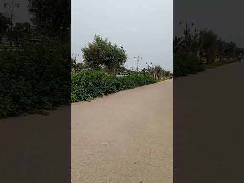 عاصمة الضباب الجميلة