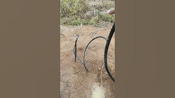 Hệ thống tưới sầu riêng chuẩn nhất #ldpe #hethongtuoicay