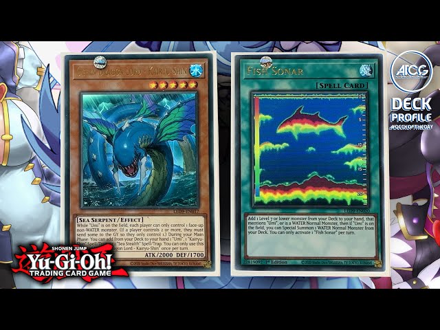 umi yugioh deck Amazon.com: Complete Custom Deck for Yu-Gi-Oh! main image 0