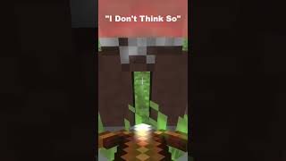 I Bet This Minecraft Pillager Didn’t Expect This!!! #minecraft #shorts #viral