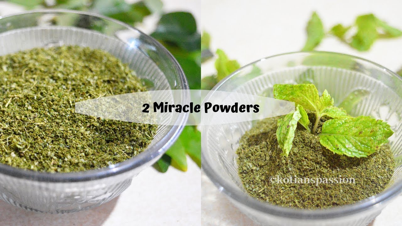 2 Miracle Powder|Instant Mint Leaves Powder|Instant Curry Leaves Powder-KotiansPassion | Kotian