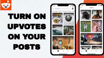 How To Turn On Upvotes On Your Posts On Reddit App