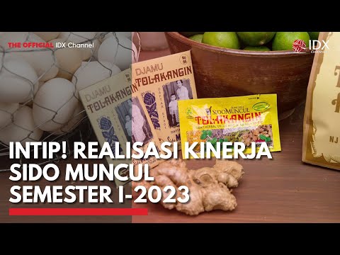 Intip! Realisasi Kinerja Sido Muncul Semester I-2023 | IDX CHANNEL