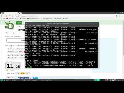 How to Install and Run MongoDB on Manjaro(Arch) Linux