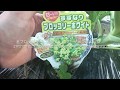 動画で家庭菜園　野菜の育て方マニュアル『茎ブロッコリー、品種ごとに個性が出てきました…スティックセニョール、すずなりブロッコリーホワイトの定期報告です！』Ｈ29.12.26