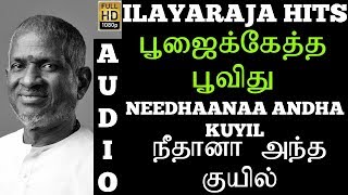 Poojaikketha Poovidhu - Needhaanaa Andha Kuyil |HD Audio |Maestro Ilayaraja