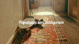 Tuğkan - Papatya Gibisin // sözleri Resimi