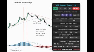 Trading Futures NQ With TradersAlly Ninjatrader