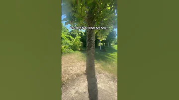 My Dog Found Me In Seconds As She S Super Fast 