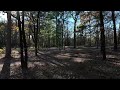 Selective Mulching in Hartshorne, OK
