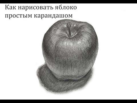 Видеоурок. Как нарисовать яблоко простым карандашом. Конструктивный рисунок