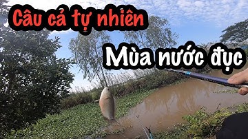 Câu cá tự nhiên đi tìm điểm câu mới và cái kết || Quang Tv