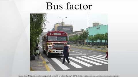 Bus factor