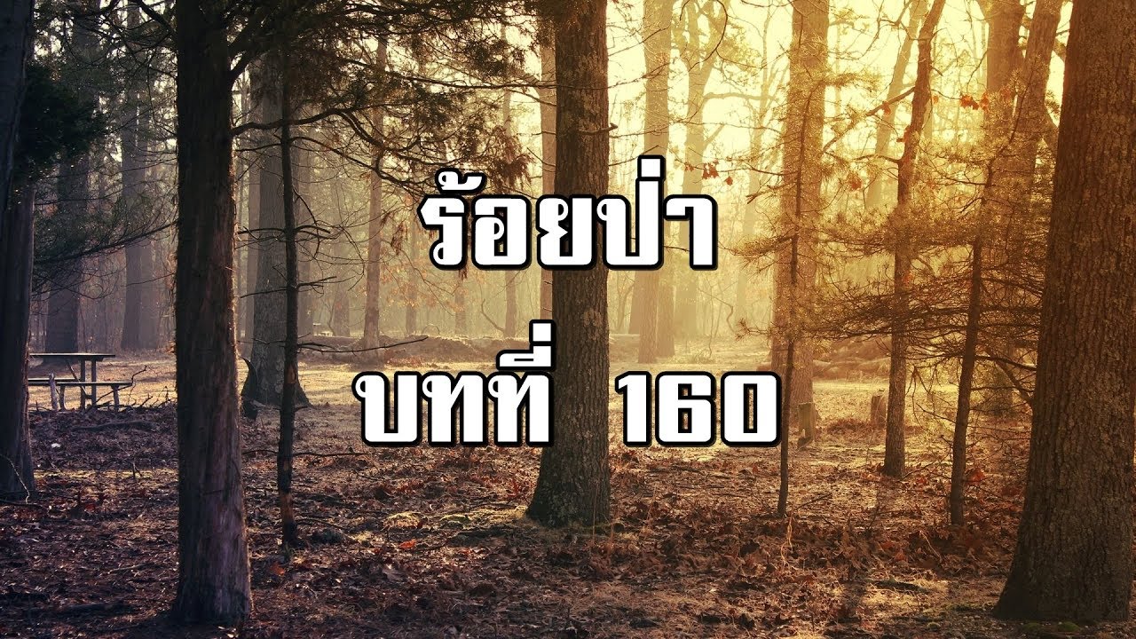 ร้อยป่า บทที่ 160 ถูกสอบสวน | สองยาม
