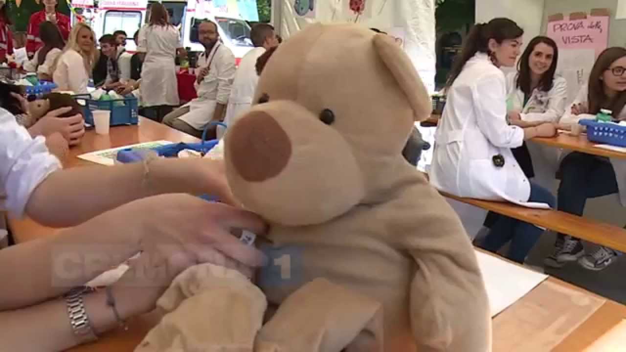 L'Ospedale dei pupazzi