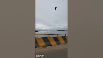 Kollam Sambranikidi 