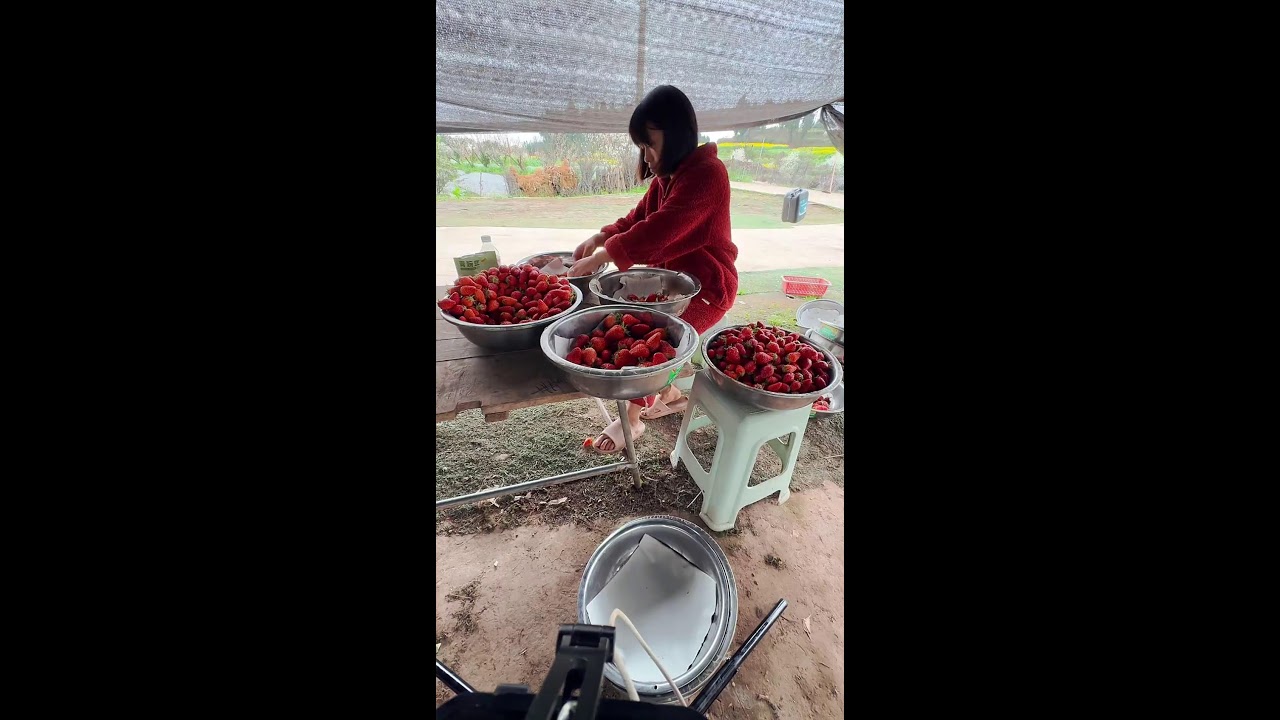 ❤️‍🔥LIVE STREAMING❤️‍🔥