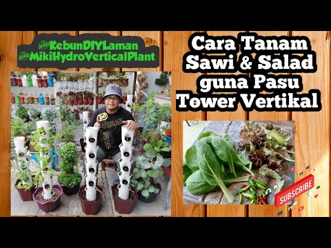 Video: Petua Untuk Menanam Taman Sayur Menegak