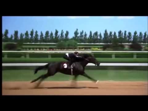 The Black Stallion final race