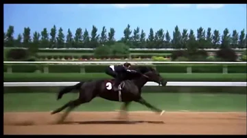 The Black Stallion final race