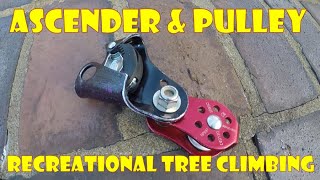 Ascender &amp; Pulley for Tree Climbing_Easy mechanical advantage_Petzl Basic_ISC Fixed Plate Pulley