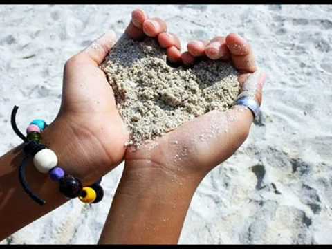 انا بيك هاني شاكر 