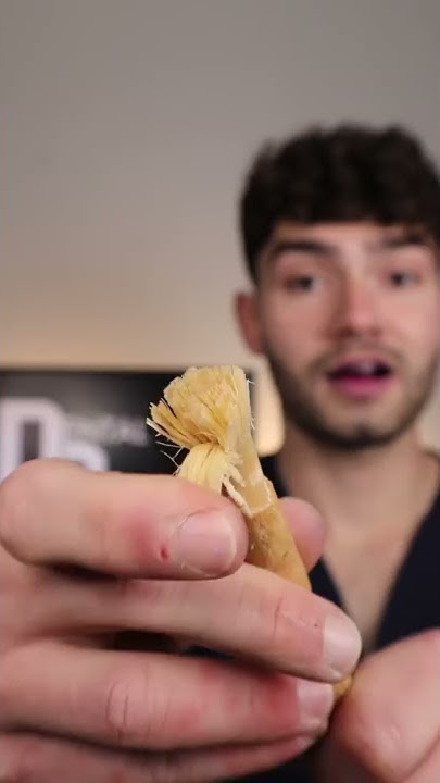 The World's Oldest Toothbrush !! #shorts