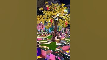 King Koi , cafe cá Koi mới khai trương ở Cần Thơ