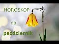 Horoskop dla Barana na październik 2022 - Osiągnięcie celu i wyruszenie w kierunku nowych celów...