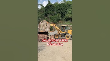 Máy xúc lật bốc xi măng