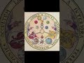V.I.T.R.I.O.L. Occult Meaning in Alchemy and The Esoteric #occult #alchemy #vitriol
