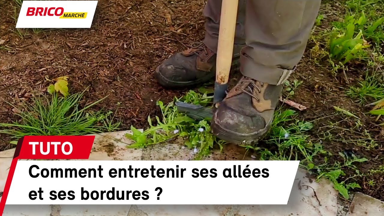 Comment Entretenir Ses Allees Et Ses Bordures Bricomarche