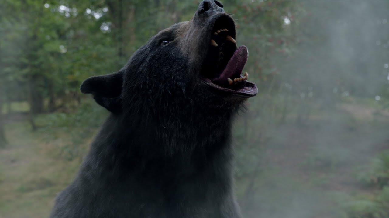 Ours sous cocaïne: c'est quoi la vraie histoire derriere le film Crazy Bear?