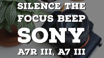 Silence the beep on the Sony A7R iii, A7 iii