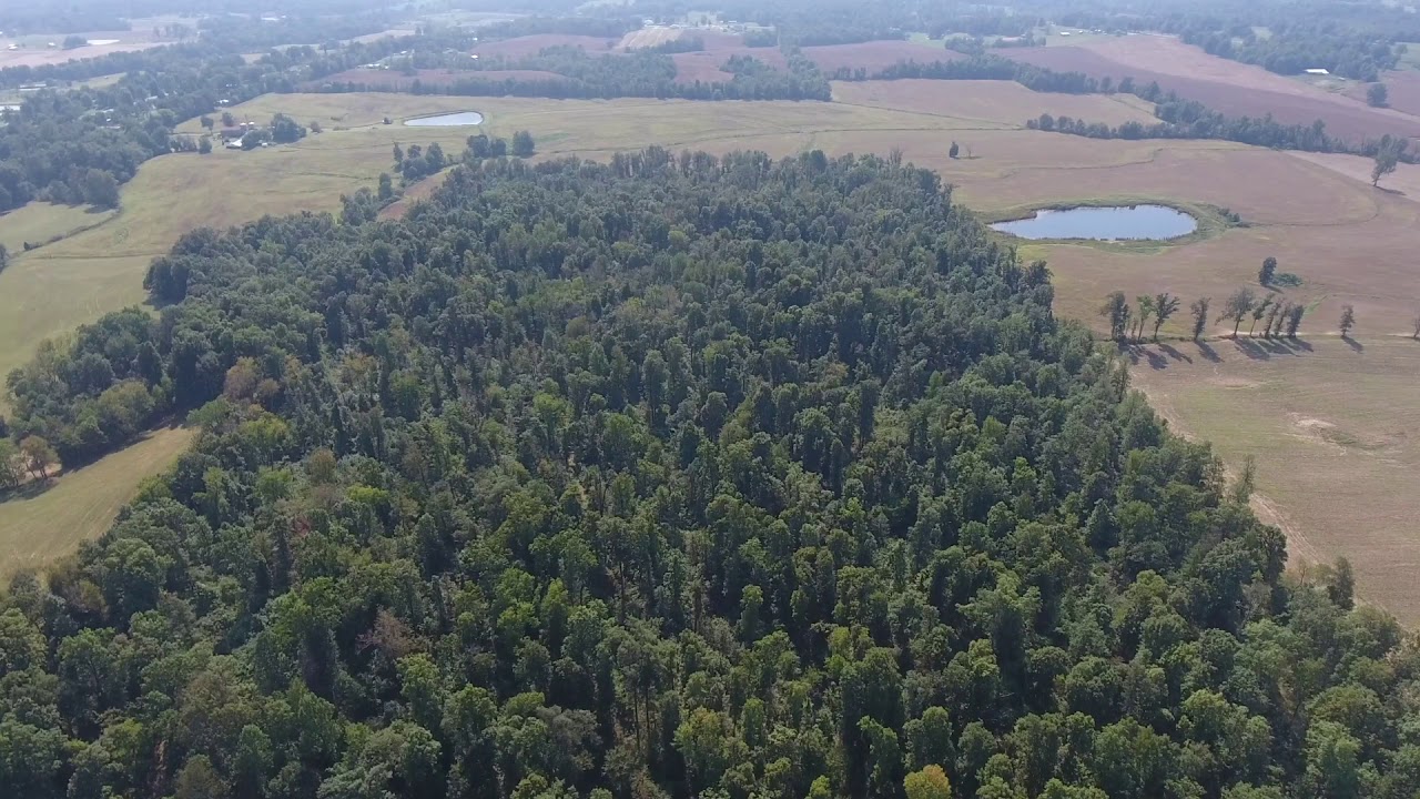 Daviess County, Kentucky Hunting Land YouTube