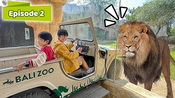 Belajar Tentang Hewan di Bali Zoo Bareng Ziyan | Belajar Bermain Seru Eps 2