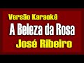 José Ribeiro  A Beleza da Rosa Karaokê