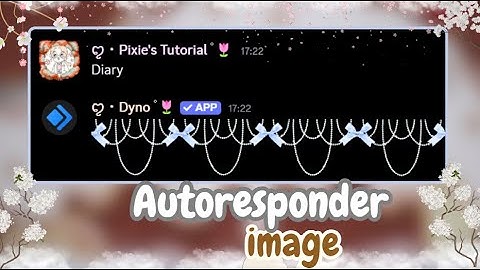 Image autoresponder | Dyno Bot Tutorial (2025 )