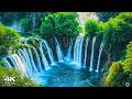 Soothing Music for Inner Peace 🌿 Relaxing Music & Healing Music for the Heart & Blood Vessels