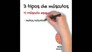 El Sistema Muscular EN 1 MINUTO #biología