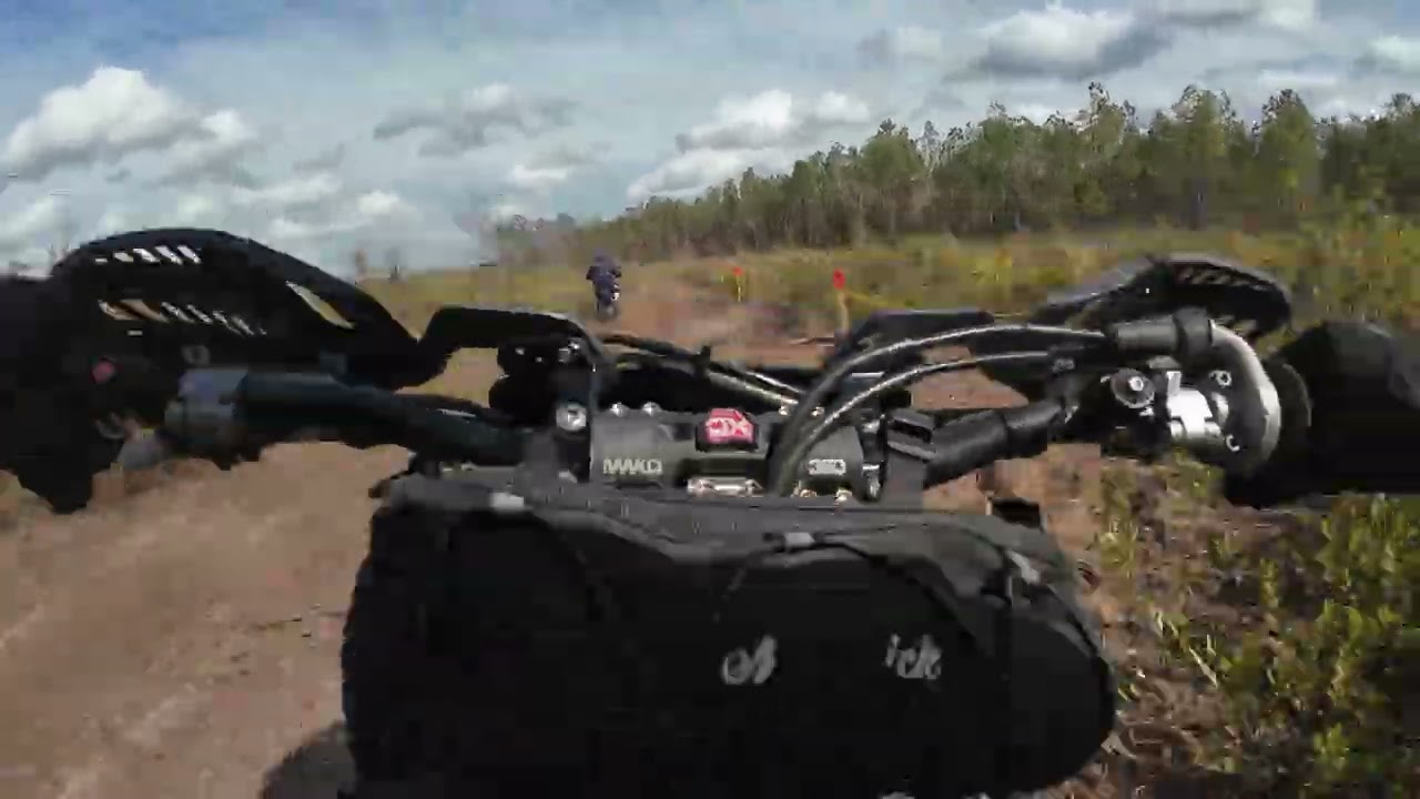 2026 - FTR - HS#8 - Fox Squirrel - MA - 03