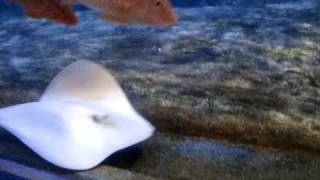 M4V02136.MP4