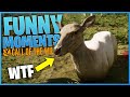 Funny Moments! #1 | theHunter: Call Of The Wild