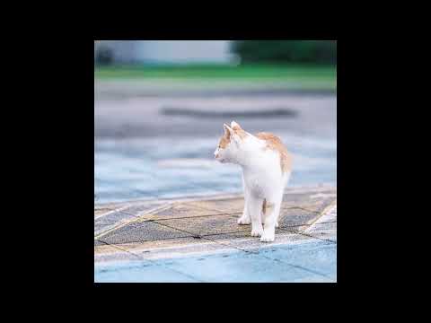 휴일(HYUIL) - BEAUTFL STRNGR (Official Audio) [자막 포함]