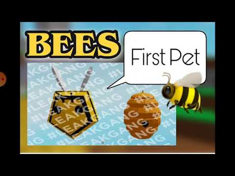 Roblox Islands Skyblock Update Leak Bees Youtube - roblox islands new update leaks