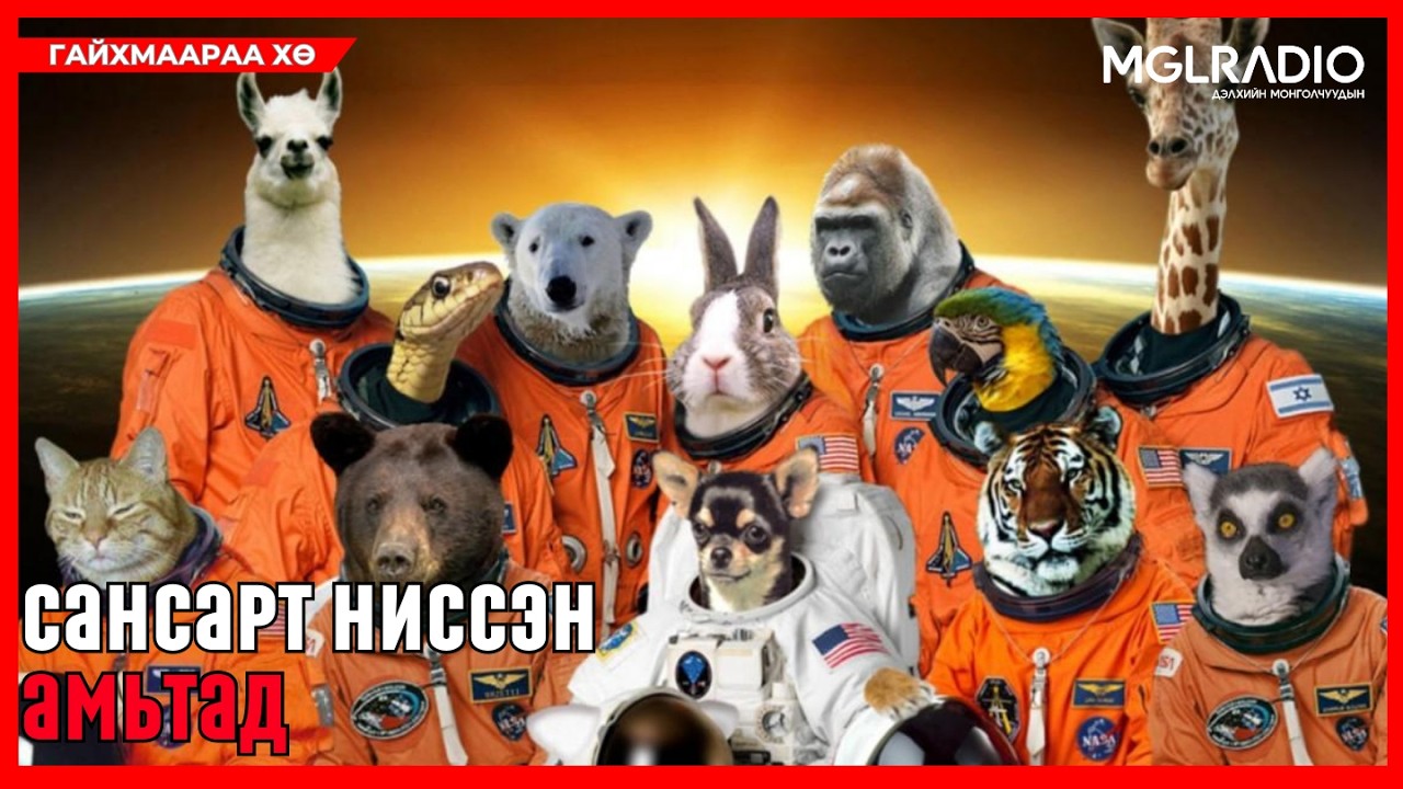 Гайхмаараа хө | 2026-04-09 | Францын анхны сансрын нисэгч нь муур байсан