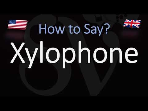 Video: Cum se pronunță numele xylon?