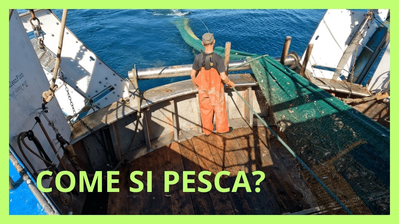 COSA SUCCEDE DAVVERO A BORDO DI UN PESCHERECCIO? SCOPRIAMOLO INSIEME